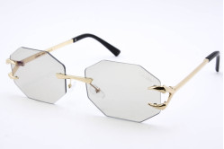 Хамелеон CAR 5013 C2