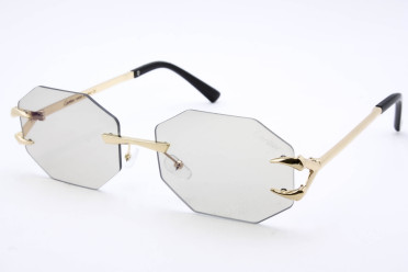 Хамелеон CAR 5013 C2