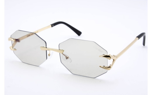  Хамелеон CAR 5013 C2