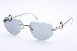 Хамелеон CAR 5018 C1