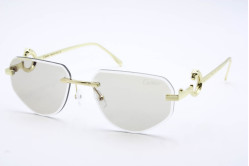 Хамелеон CAR 5018 C2