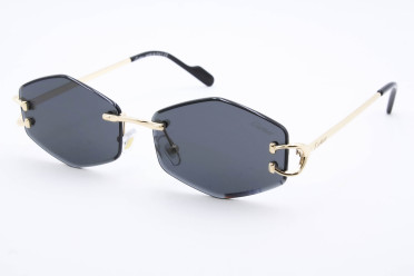 CAR 56123 C1 CAR 56123 C1