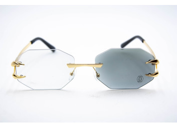  Хамелеон CAR 2828 C1