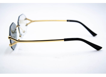  Хамелеон CAR 2828 C1