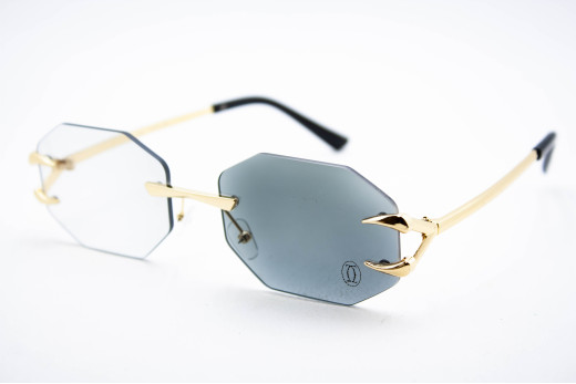  Хамелеон CAR 2828 C1