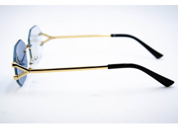  Хамелеон CAR 2828 C2