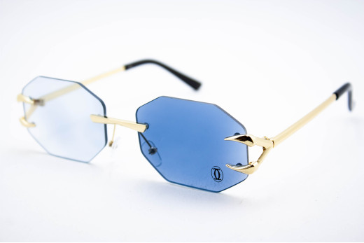  Хамелеон CAR 2828 C2