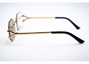  Хамелеон CAR 2828 C3