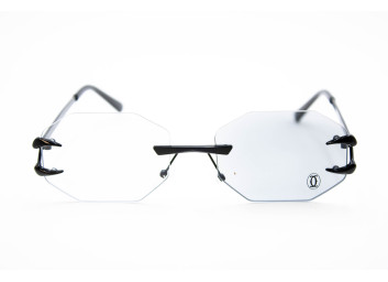  Хамелеон CAR 2828 C4