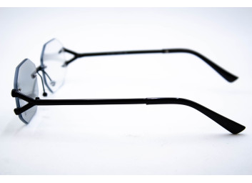  Хамелеон CAR 2828 C4