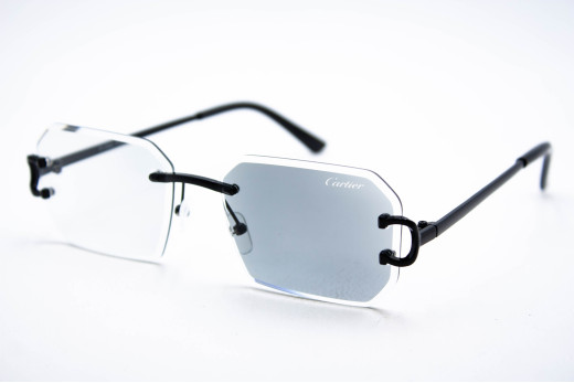  Хамелеон CAR 2830 C1