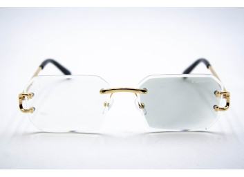  Хамелеон CAR 2830 C2