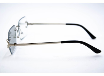  Хамелеон CAR 2830 C3