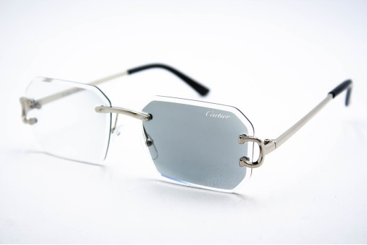  Хамелеон CAR 2830 C3