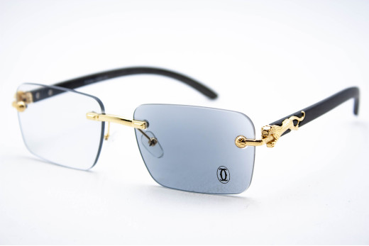  Хамелеон CAR 2831 C2