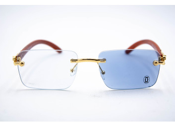  Хамелеон CAR 2831 C3