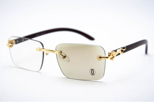  Хамелеон CAR 2831 C4