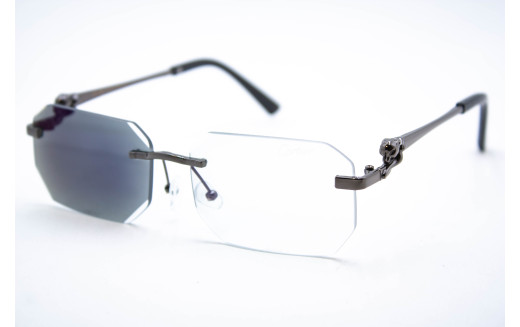  Хамелеон CAR 2626 C2