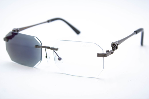  Хамелеон CAR 2626 C2