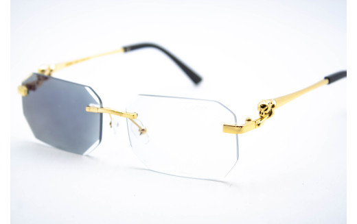  Хамелеон CAR 2626 C3