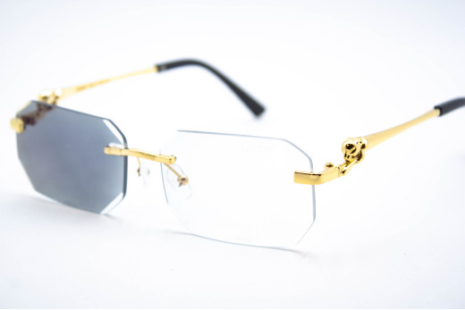  Хамелеон CAR 2626 C3