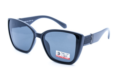 P 09513 С2 P 09513 С2