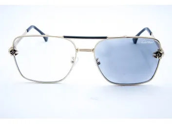 Car 2731 C2 Хамелеон