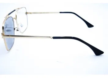 Car 2731 C2 Хамелеон