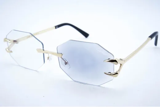 Car 565 C3 Хамелеон