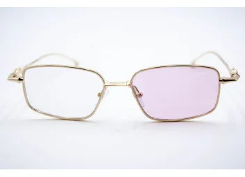 Хамелеон CAR 2568 C5