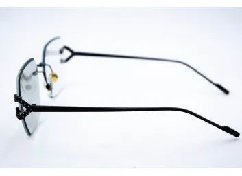 Хамелеон 98368 C1