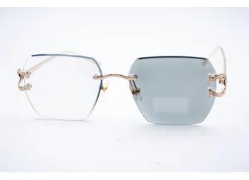 Хамелеон 98368 C2