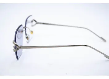 Хамелеон 98368 C4