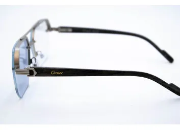 Хамелеон CAR 2574 C2