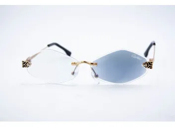 CAR 1228 C1 Хамелеон