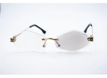 CAR 1228 C2 Хамелеон