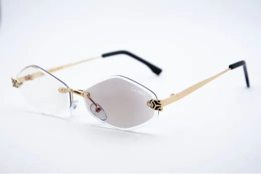 CAR 1228 C2 Хамелеон