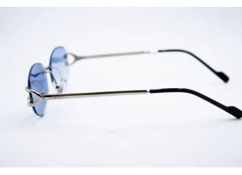 CAR 933 C3 Хамелеон