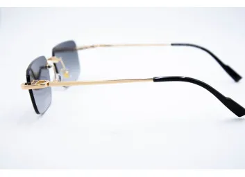 DR 5g309 C1
