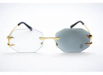 Хамелеон CAR 2828 C1