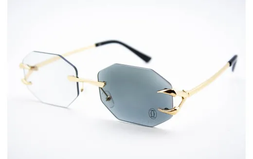 Хамелеон CAR 2828 C1