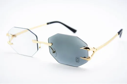 Хамелеон CAR 2828 C1