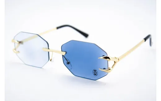 Хамелеон CAR 2828 C2