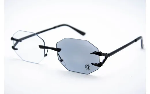 Хамелеон CAR 2828 C4