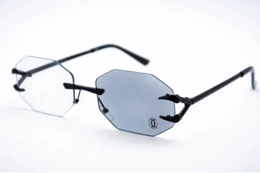 Хамелеон CAR 2828 C4