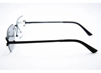 Хамелеон CAR 2830 C1