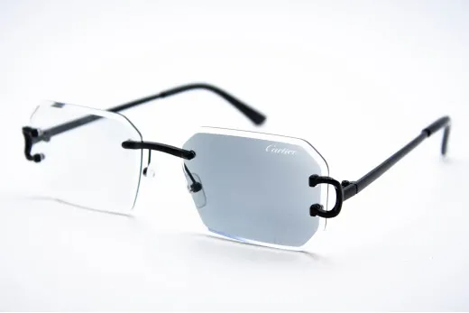 Хамелеон CAR 2830 C1