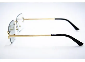 Хамелеон CAR 2830 C2