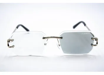 Хамелеон CAR 2830 C3