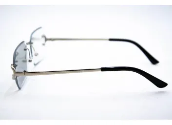 Хамелеон CAR 2830 C3